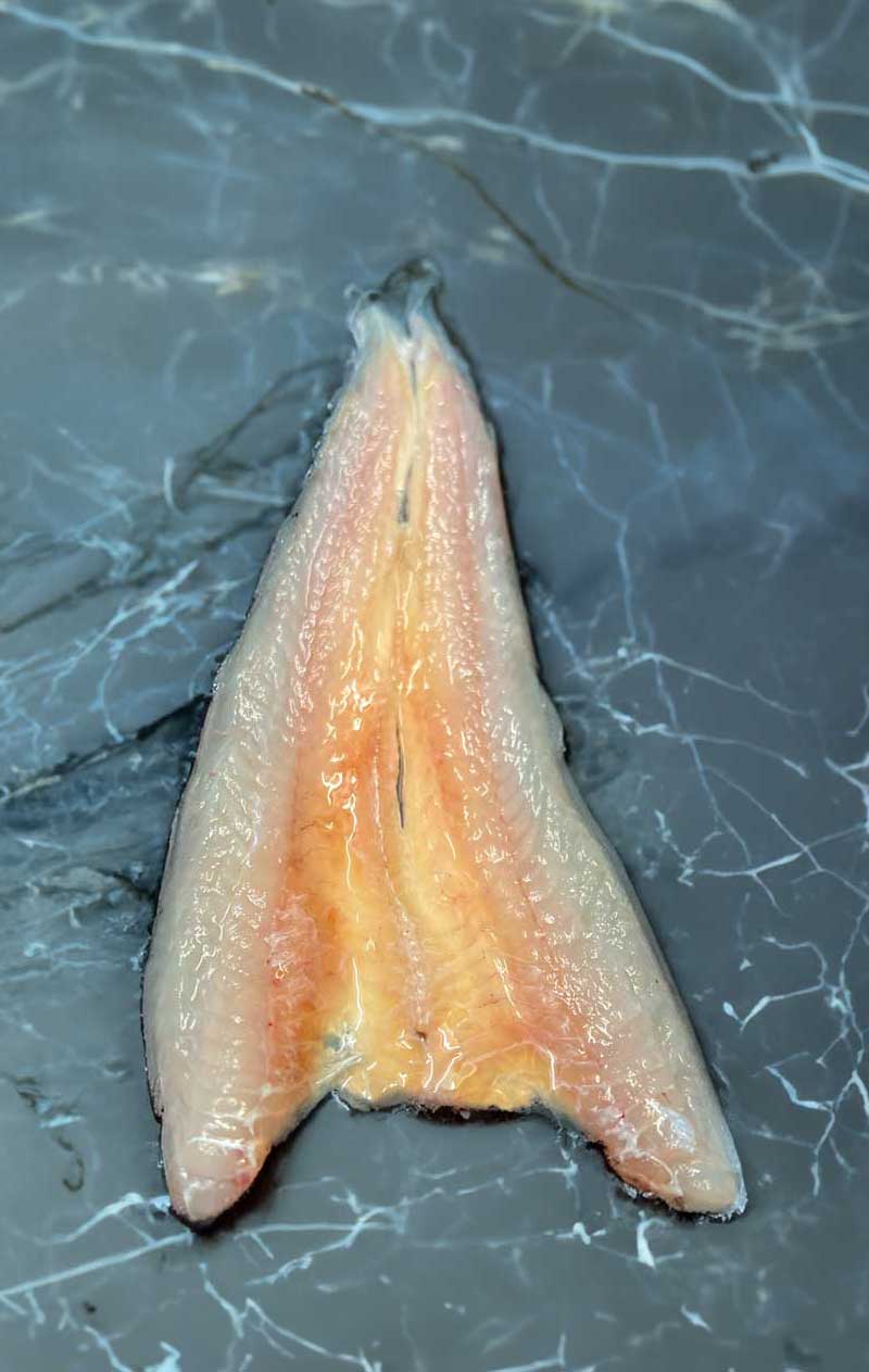 bacaladilla-abierta-sin espina pescado blanco bacaladilla abierta sin espina
